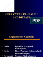 Cell Cycle in Health and Disease