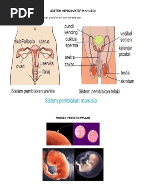 Nota Pk Tahun 5 Pdf