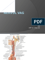 Nervul Vag