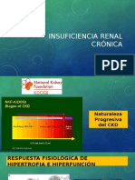 Insuficiencia Renal Crónica