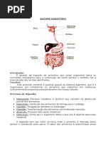 Sistema Digestório