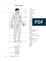 Appendix I - Parts of the Body