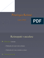 11. patologia retinei.ppt