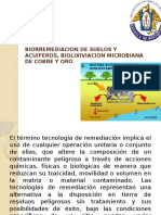 Biorremediacion suelos