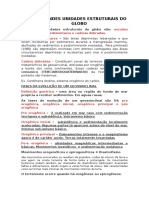 Estruturas Geológicas e Unidades do Relevo Brasileiro