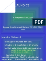 Jaundice: Dr. Soegiarto Gani, SPPD