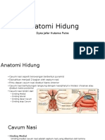 Anatomi Hidung