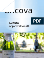 Docslide - Us Cultura Organizationala Cricova