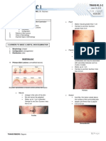 Basic Skin Lesions