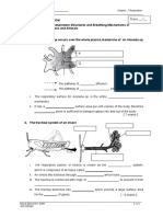 WORKSHEET 7.1 the Respiratory Structures and Breathing Mecha