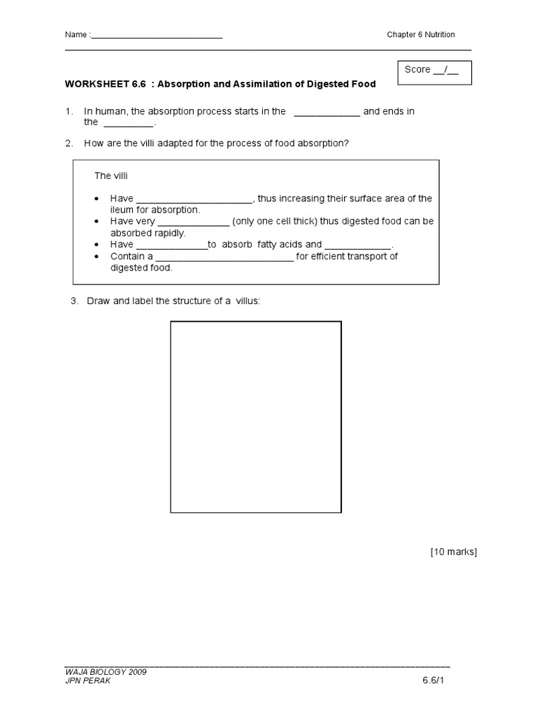WORKSHEET 6.6 Absorption & Assimilation | PDF | Wellness