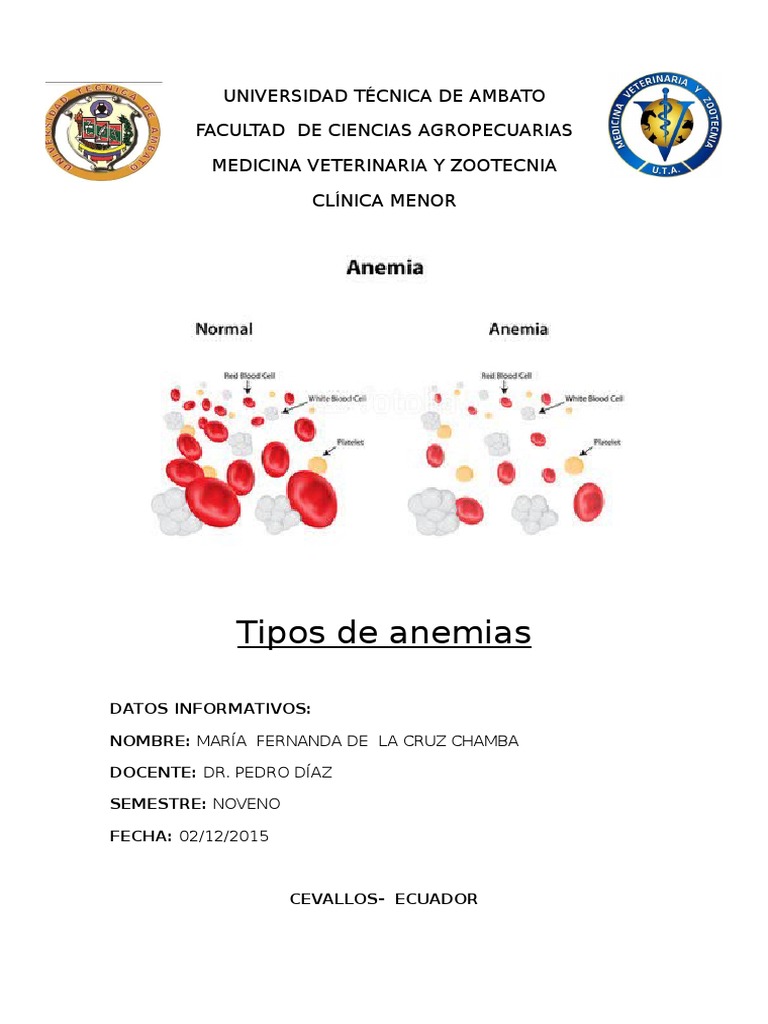 Tipos de Anemia en Veterinaria | PDF | Sangre | Glóbulo rojo