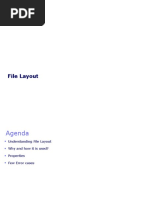 File Layout