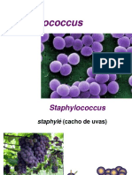 Staphylococcus 2014 Vet