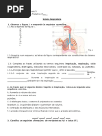 FichTrabnº___SistemaRespiratórioCN9