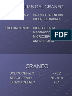 Cráneo Dr. Diaz 1