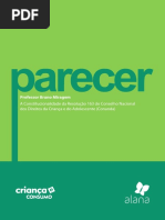 Parecer_ProfBrunoMiragem