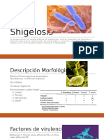 Shigelosis 