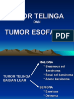 Tumor Telinga & Esofagus BBB