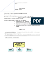 Plan de Lectie Planul de Afaceri