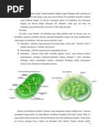 Download Jawaban LKM Sel by sarahchinensis SN295097546 doc pdf