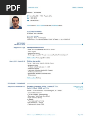 Mattia Calabrese CV PDF 