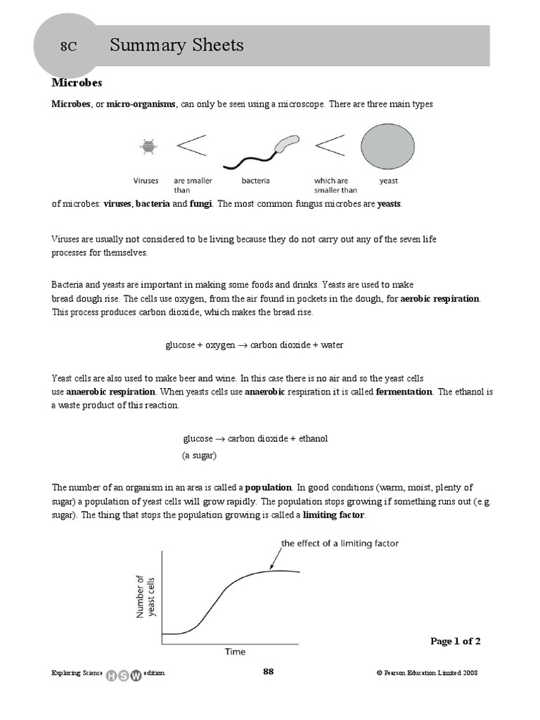 Yeast information essay 05 picture