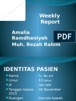 Weekly Report BPH Amel