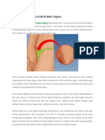 Cara Menghilangkan Kutil Di Bibir Vagina