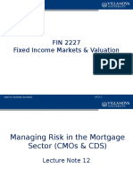 Managing Risk in the Mortgage Sector (CMO and CDS)