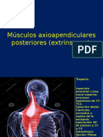 Presentacion Musculos Extrinsecos Axioapendiculares