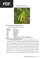 Download Kenanga Cananga Odorata Lam by Satria Binawa SN295173784 doc pdf