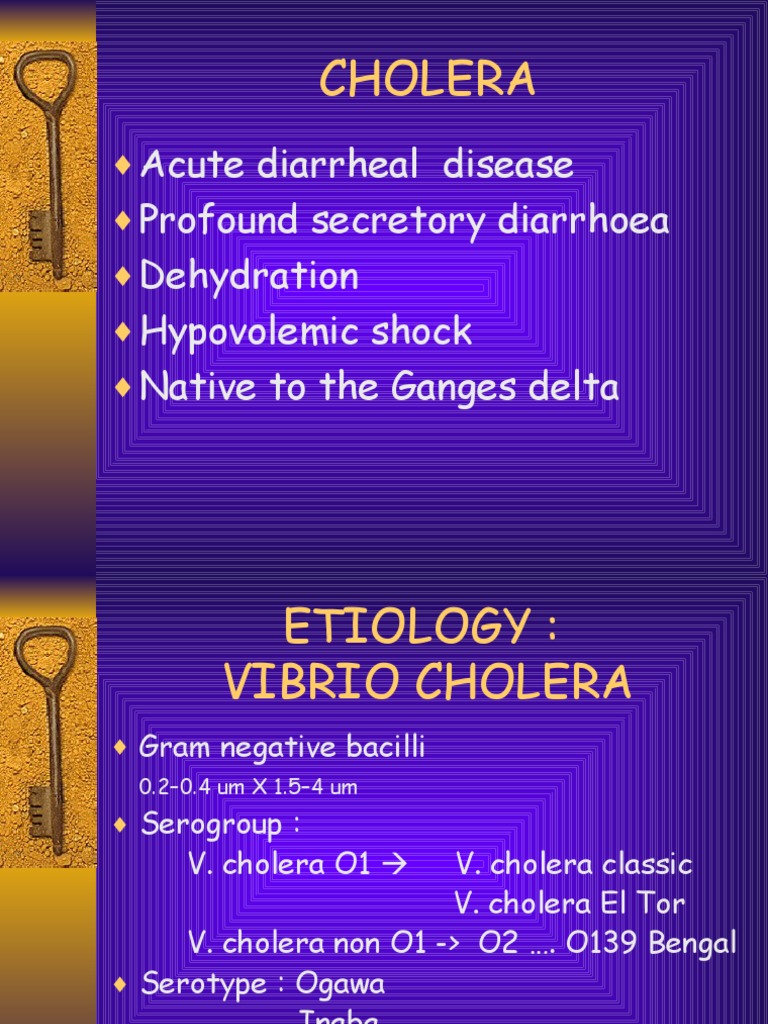 How Does Cholera Cause Dehydration – WZZSJG
