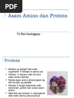 Asam Amino Dan Protein