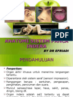 26807882 Anatomi Sistem Panca Indra