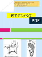 Pie Plano Diapositivas