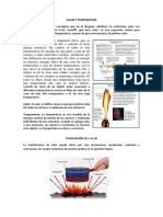 Calor Y Temperatura y Variables Termodinamicas