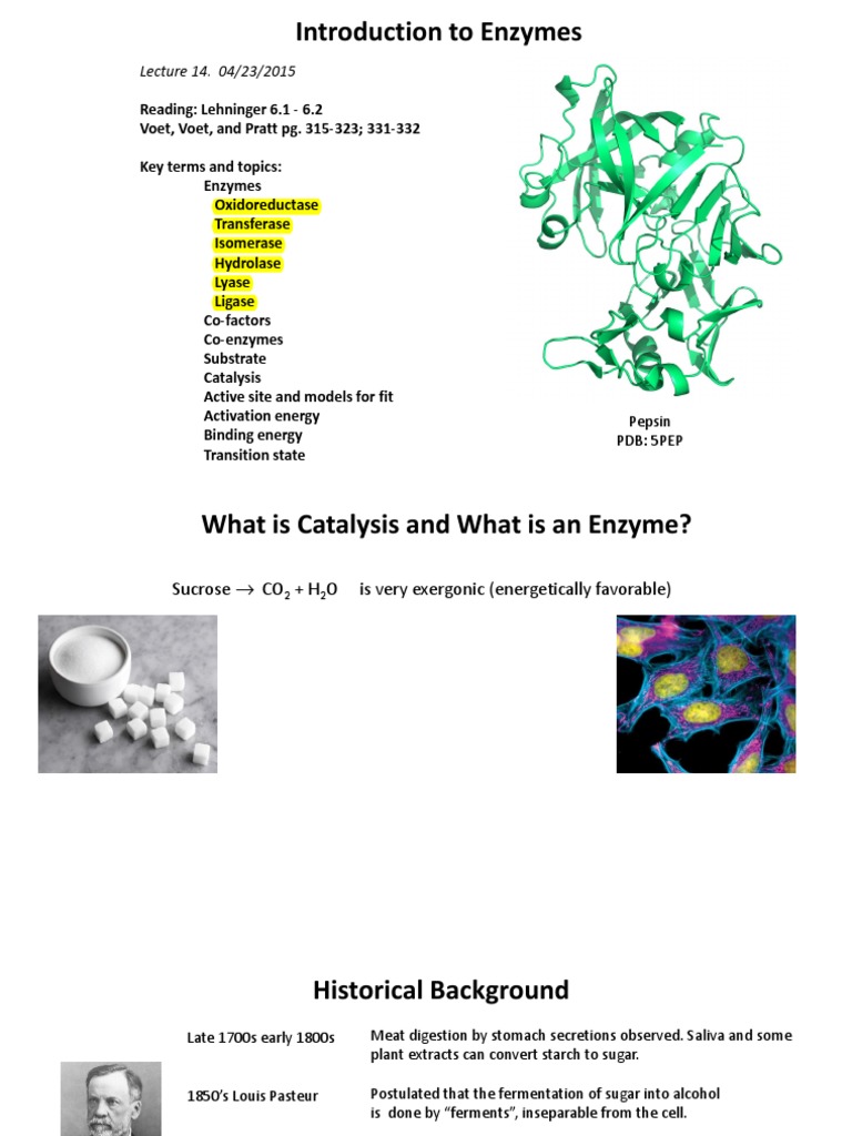 Biochemistry Lecture 14 Intro to Enzymes Cofactor (Biochemistry