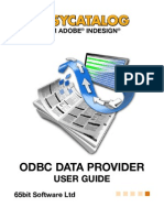 Eazy Catalog ODBC User Guide