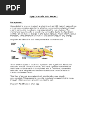 Egg Osmosis Lab Osmosis Chemistry