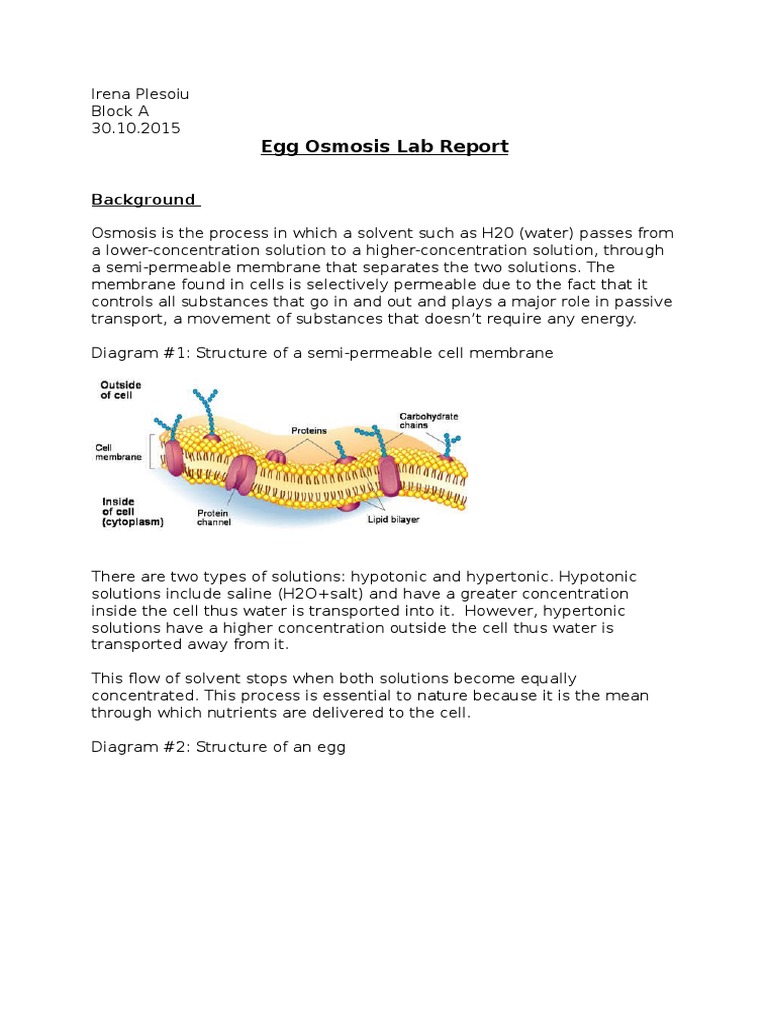 Egg Osmosis Lab | Osmosis | Chemistry