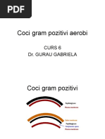 Coci Gram Pozitivi Curs 6 MO