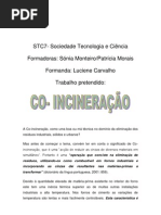  co-incineração