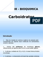 Carboidratos lcb208