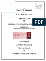Final Project Report of Job Description (Updated)