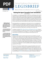 Legisbrief Raise The Age 2015