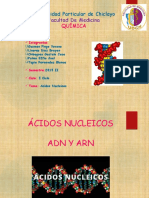 acidos-nucleicos-quimica