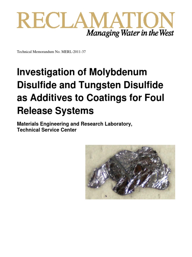 Investigation of Molybdenum Disulfide and Tungsten Disulfide as