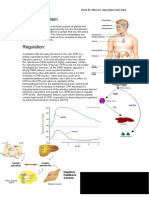 Endocrine System