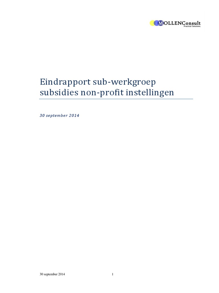 Eindrapport Subsidies Nonprofit | PDF